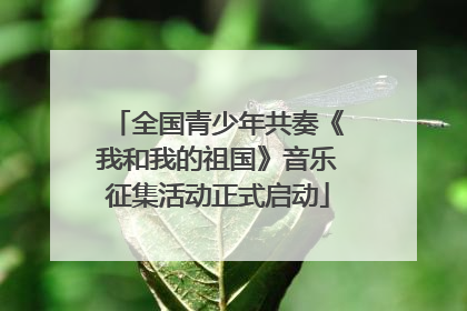 全国青少年共奏《我和我的祖国》音乐征集活动正式启动