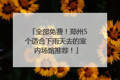 全部免费！郑州5个适合下雨天去的室内场馆推荐！