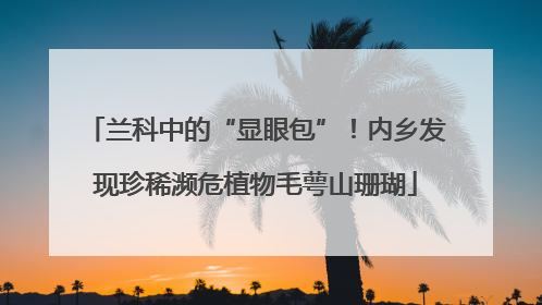 兰科中的“显眼包”！内乡发现珍稀濒危植物毛萼山珊瑚