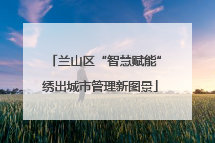 兰山区“智慧赋能”绣出城市管理新图景