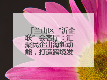 兰山区“沂企联”会客厅：汇聚民企出海新动能，打造跨境发展“强磁场”