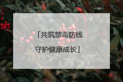 共筑禁毒防线 守护健康成长