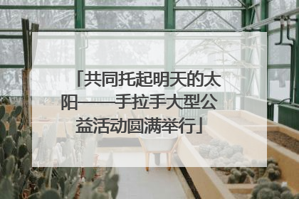 共同托起明天的太阳——手拉手大型公益活动圆满举行