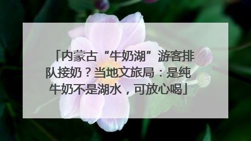 内蒙古“牛奶湖”游客排队接奶？当地文旅局：是纯牛奶不是湖水，可放心喝
