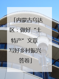 内蒙古乌达区：做好“土特产”文章 写好乡村振兴答卷