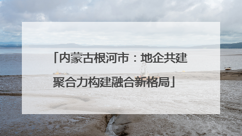 内蒙古根河市：地企共建聚合力构建融合新格局