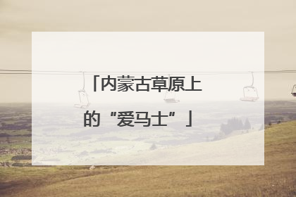 内蒙古草原上的“爱马士”