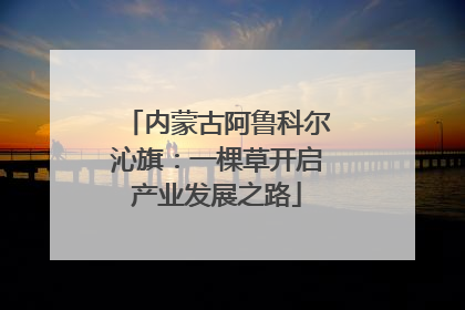 内蒙古阿鲁科尔沁旗：一棵草开启产业发展之路