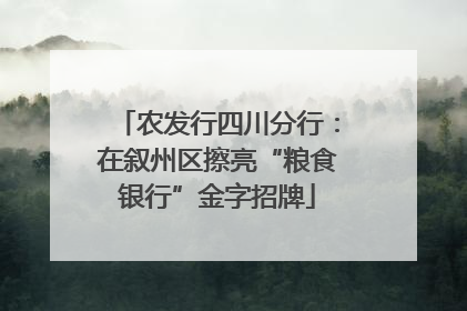 农发行四川分行：在叙州区擦亮“粮食银行”金字招牌