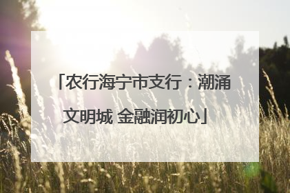 农行海宁市支行：潮涌文明城 金融润初心