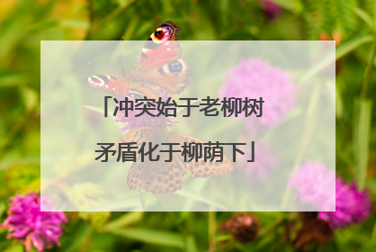 冲突始于老柳树 矛盾化于柳荫下