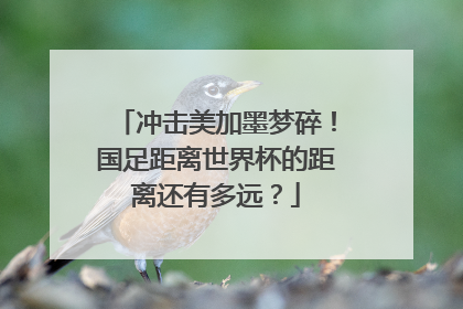 冲击美加墨梦碎！国足距离世界杯的距离还有多远？