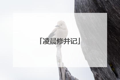 凌晨修井记