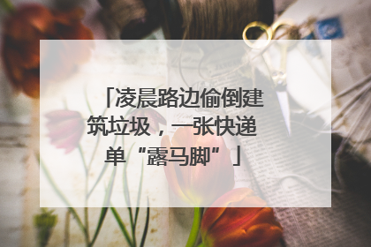 凌晨路边偷倒建筑垃圾，一张快递单“露马脚”