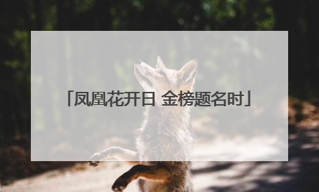 凤凰花开日 金榜题名时
