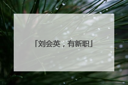 刘会英，有新职