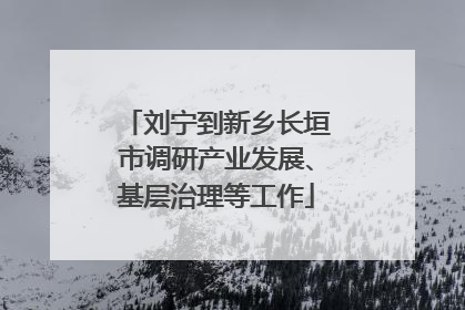 刘宁到新乡长垣市调研产业发展、基层治理等工作