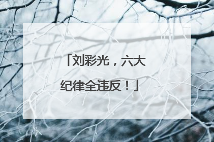 刘彩光，六大纪律全违反！