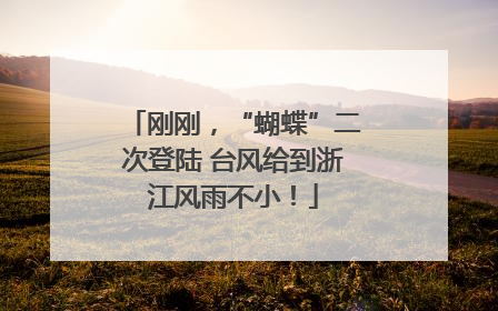 刚刚，“蝴蝶”二次登陆 台风给到浙江风雨不小！