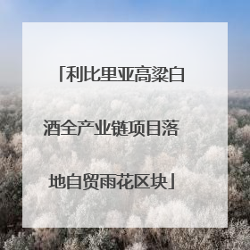 利比里亚高粱白酒全产业链项目落地自贸雨花区块