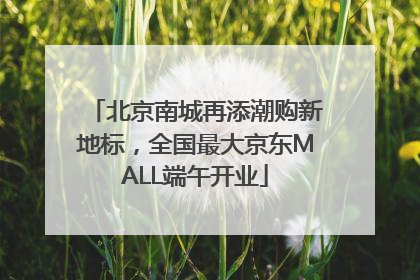 北京南城再添潮购新地标，全国最大京东MALL端午开业