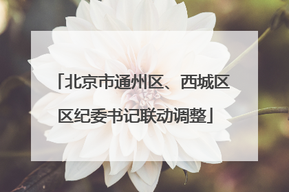 北京市通州区、西城区区纪委书记联动调整