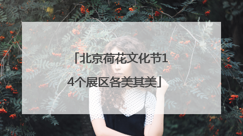 北京荷花文化节14个展区各美其美