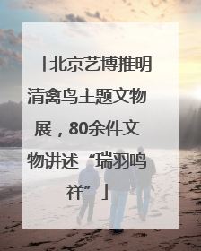 北京艺博推明清禽鸟主题文物展，80余件文物讲述“瑞羽鸣祥”