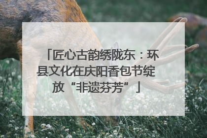 匠心古韵绣陇东：环县文化在庆阳香包节绽放“非遗芬芳”
