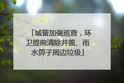 城管加强巡查，环卫提前清除井盖、雨水箅子周边垃圾
