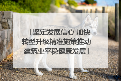 坚定发展信心 加快转型升级精准施策推动建筑业平稳健康发展