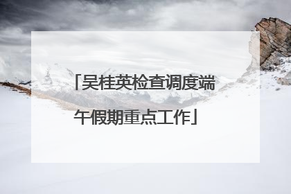 吴桂英检查调度端午假期重点工作