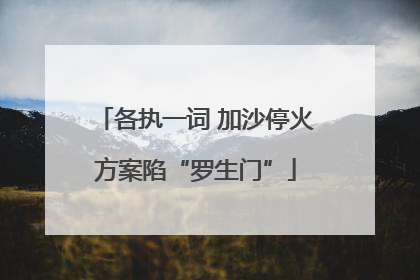 各执一词 加沙停火方案陷“罗生门”