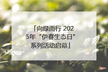 向绿而行 2025年“伊春生态日”系列活动启幕