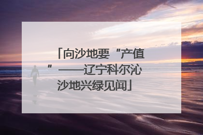 向沙地要“产值”——辽宁科尔沁沙地兴绿见闻