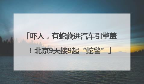 吓人，有蛇藏进汽车引擎盖！北京9天接9起“蛇警”