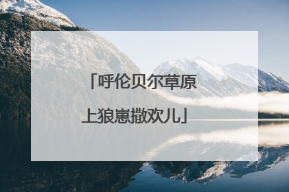 呼伦贝尔草原上狼崽撒欢儿