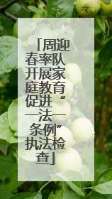 周迎春率队开展家庭教育促进“一法一条例”执法检查