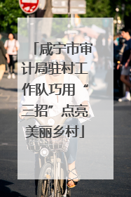 咸宁市审计局驻村工作队巧用“三招”点亮美丽乡村