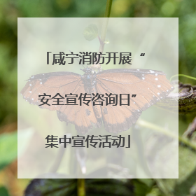 咸宁消防开展“安全宣传咨询日”集中宣传活动
