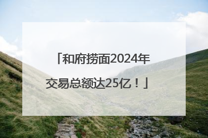 和府捞面2024年交易总额达25亿！