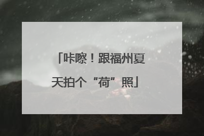 咔嚓！跟福州夏天拍个“荷”照