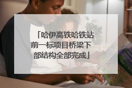 哈伊高铁哈铁站前一标项目桥梁下部结构全部完成