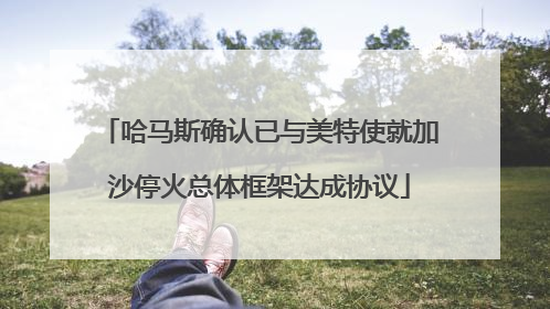 哈马斯确认已与美特使就加沙停火总体框架达成协议