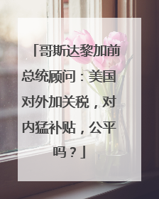 哥斯达黎加前总统顾问：美国对外加关税，对内猛补贴，公平吗？