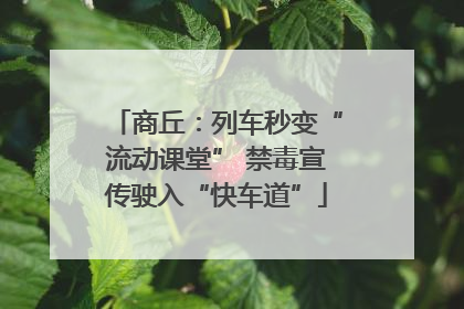 商丘：列车秒变“流动课堂” 禁毒宣传驶入“快车道”