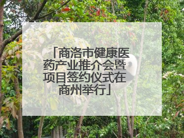 商洛市健康医药产业推介会暨项目签约仪式在商州举行