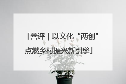 善评｜以文化“两创”点燃乡村振兴新引擎