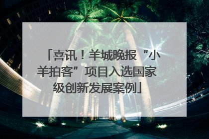 喜讯！羊城晚报“小羊拍客”项目入选国家级创新发展案例