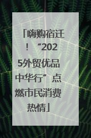 嗨购宿迁！“2025外贸优品中华行”点燃市民消费热情